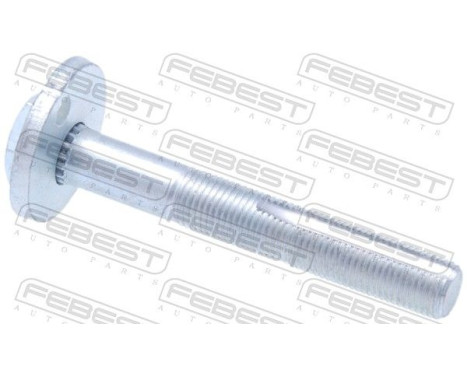 Camber Correction Screw