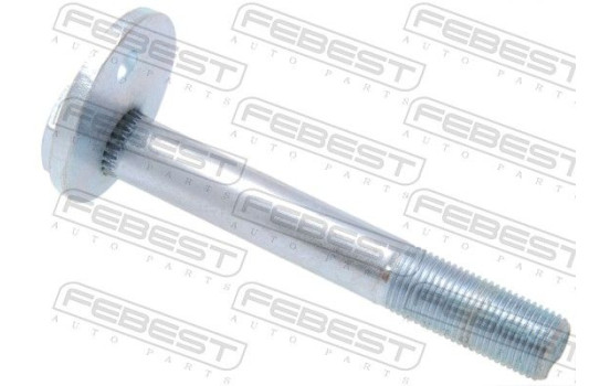 Camber Correction Screw