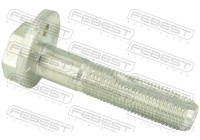 Camber Correction Screw