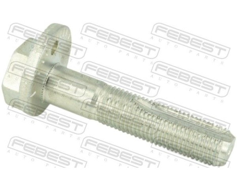 Camber Correction Screw
