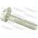 Camber Correction Screw