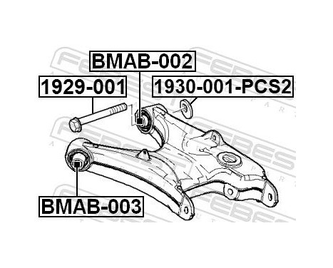 Camber Correction Screw