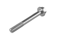 Camber correction screw