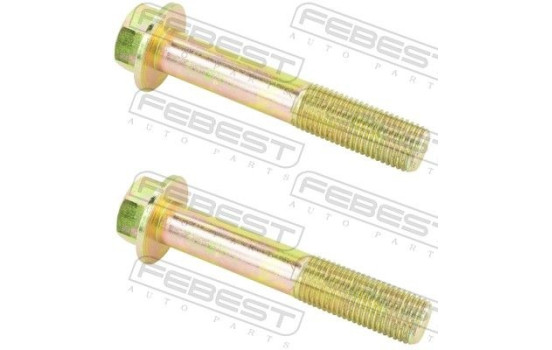 Fastening Bolts, control arm