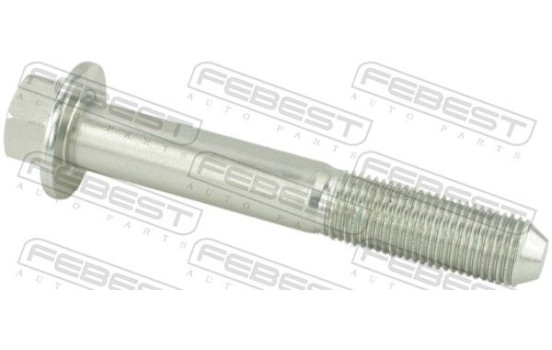 Fastening Bolts, control arm
