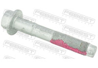 Fastening Bolts, control arm