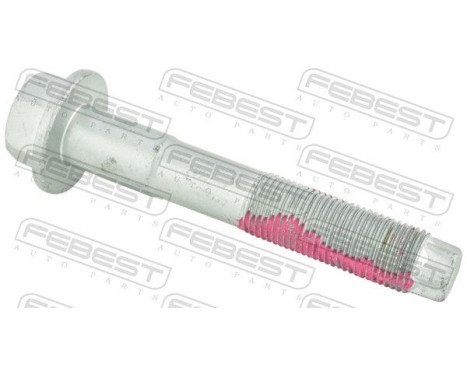 Fastening Bolts, control arm