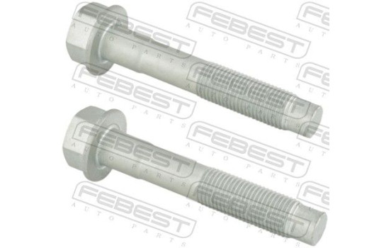 Fastening Bolts, control arm