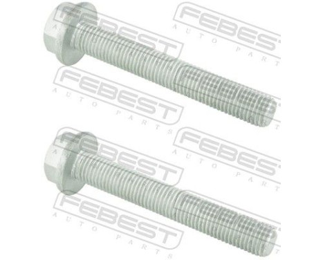 Fastening Bolts, control arm