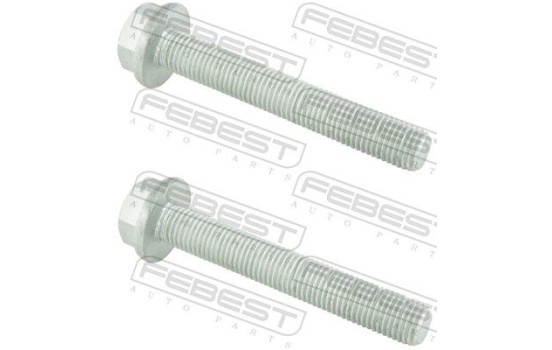 Fastening Bolts, control arm