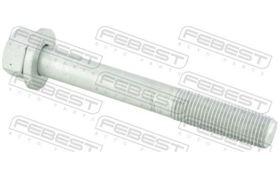 Fastening Bolts, control arm
