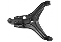 Track Control Arm 210051 ABS
