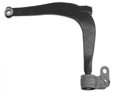 Track Control Arm 210116 ABS