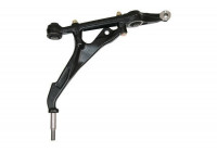 Track Control Arm 210272 ABS