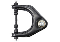 Track Control Arm 210301 ABS