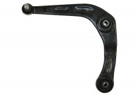 Track Control Arm 210431 ABS