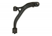 Track Control Arm 210906 ABS
