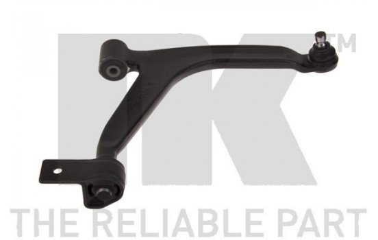 Track Control Arm 5011934 NK