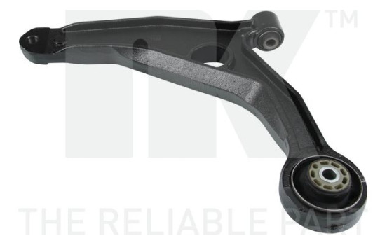Track Control Arm 5012387 NK
