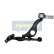 Track Control Arm BS-336L Japanparts