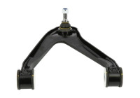 Track Control Arm FI-WP-4966 Moog