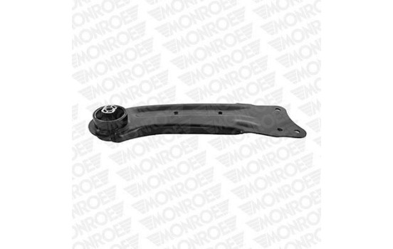 Track Control Arm L29B05 Monroe