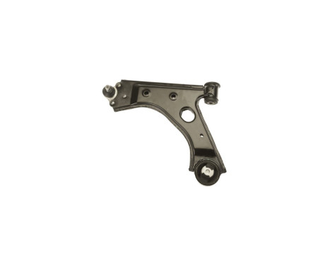 Track Control Arm TC1829 Delphi