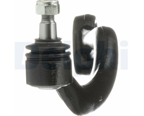 Track Control Arm TC480 Delphi, Image 6