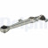 Track Control Arm TC768 Delphi, Thumbnail 2