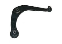 Track Control Arm TC875 Delphi