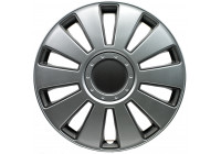 4-Piece Hubcaps Pennsylvania 14-inch silver / charcoal gray