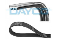 Poly V-belt