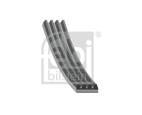 V-Ribbed Belt 104566 FEBI, Image 2