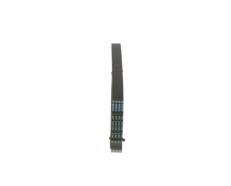 V-Ribbed Belt, Image 4