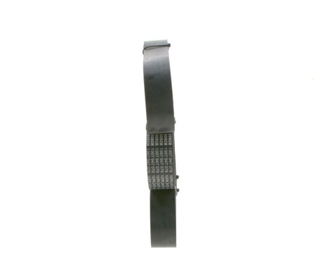 V-Ribbed Belt, Image 2