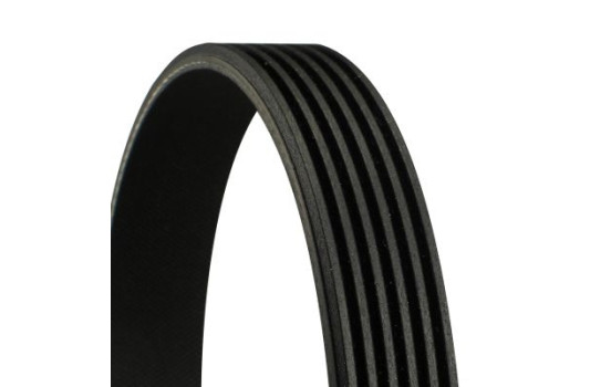 V-Ribbed Belts 6PK1010 Contitech