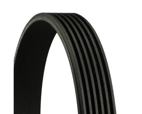 V-Ribbed Belts 6PK1033 Contitech, Image 2