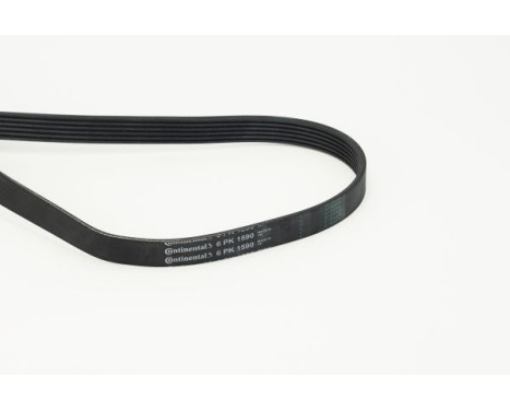 V-Ribbed Belts 6PK1590 Contitech, Image 2