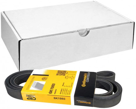 V-Ribbed Belts 6PK1980 Contitech