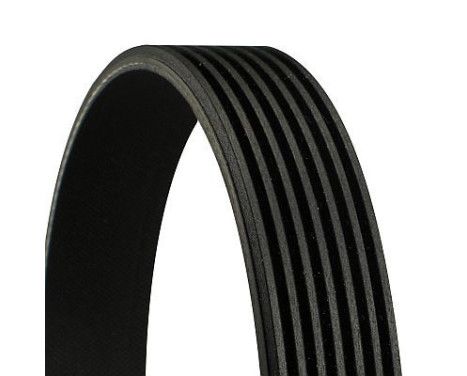 V-Ribbed Belts 7PK1153 Contitech, Image 2