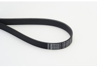 V-Ribbed Belts 7PK1970 Contitech