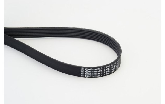 V-Ribbed Belts 7PK1970 Contitech