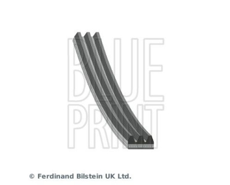 V-Ribbed Belts AD03R750 Blue Print, Image 2