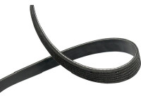 V-Ribbed Belts DMV-1032 Kavo parts