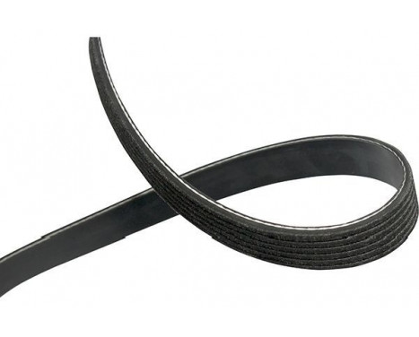 V-Ribbed Belts DMV-1036 Kavo parts, Image 2