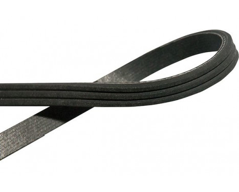 V-Ribbed Belts DMV-1501 Kavo parts