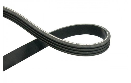 V-Ribbed Belts DMV-1543 Kavo parts