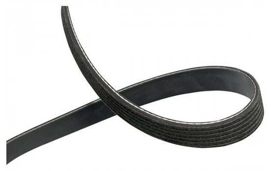 V-Ribbed Belts DMV-3055 Kavo parts