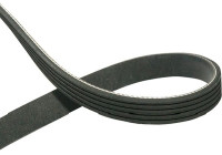 V-Ribbed Belts DMV-5526 Kavo parts