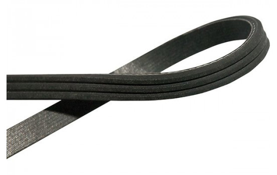 V-Ribbed Belts DMV-5550 Kavo parts